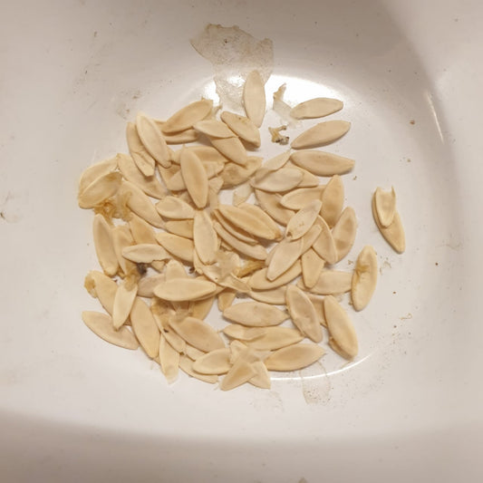 Cucumber 🥒 Seeds