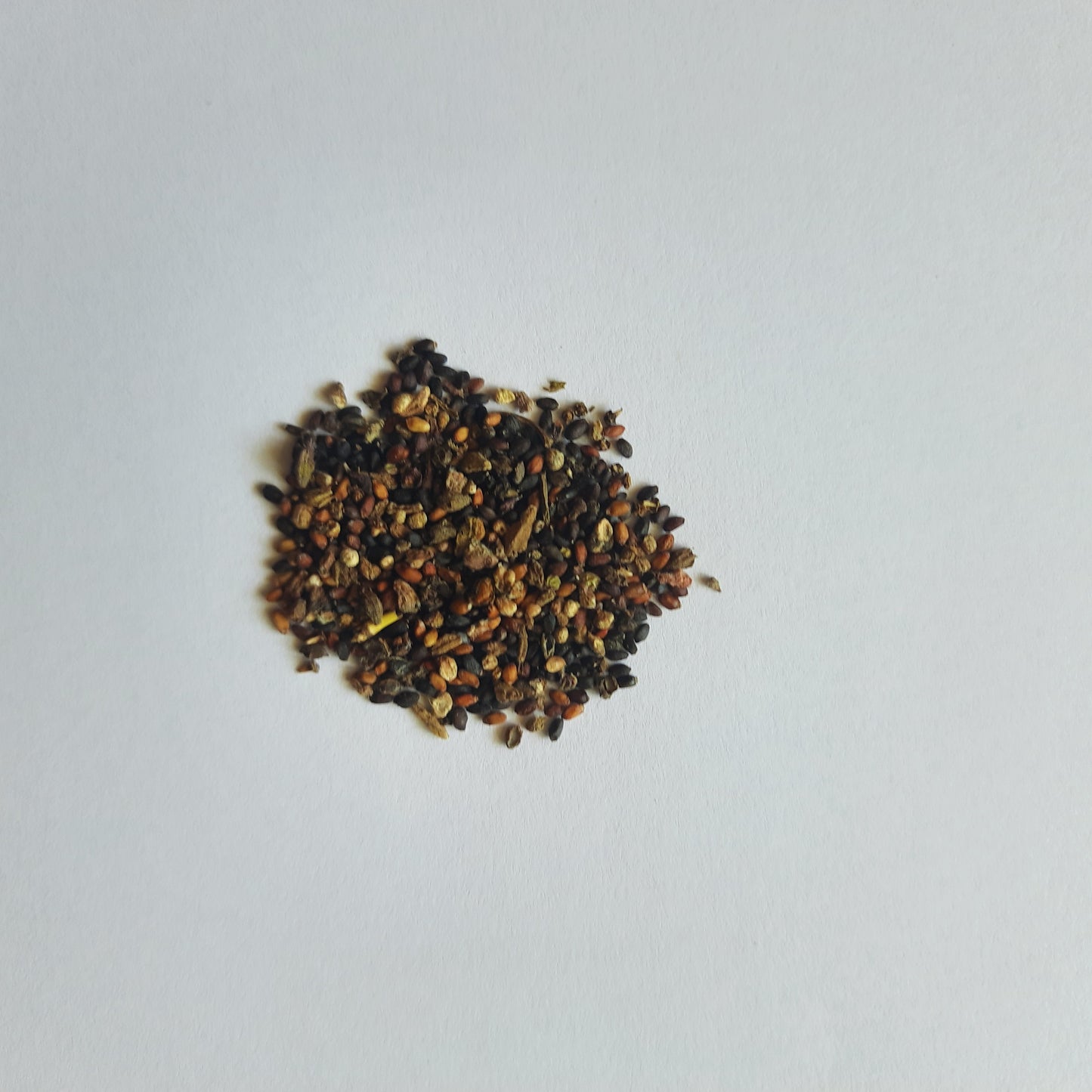 Thai Basil seeds