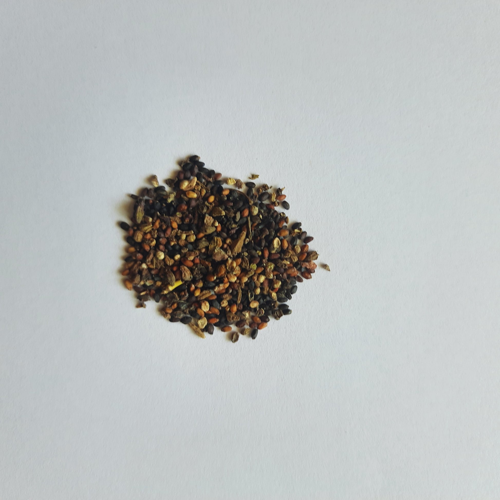 Thai Basil seeds