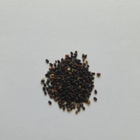 Italian Basil seeds