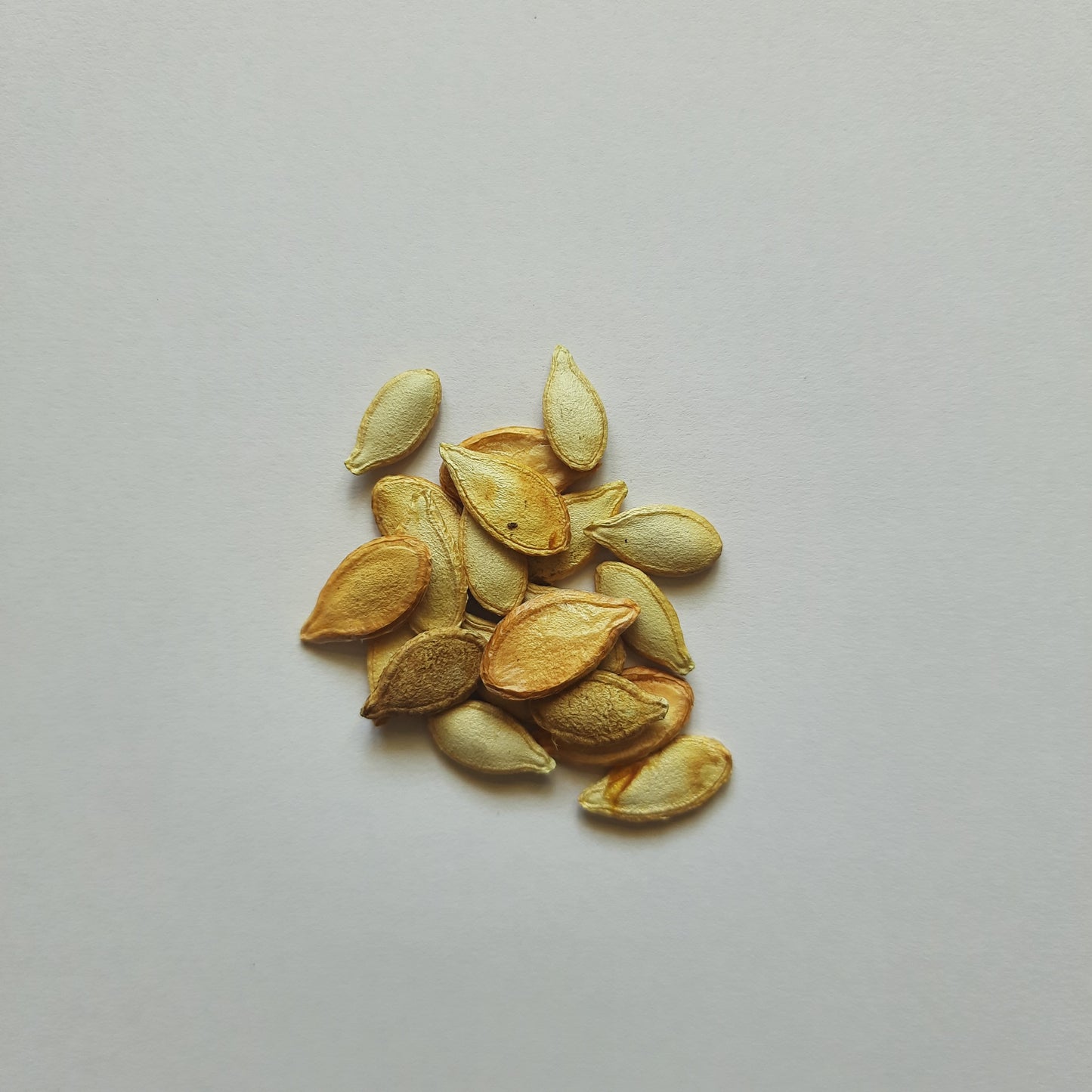 Pumpkin Seeds