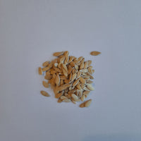 Sun Melon Seeds