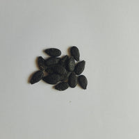 Ridge Gourd (Turai) seeds