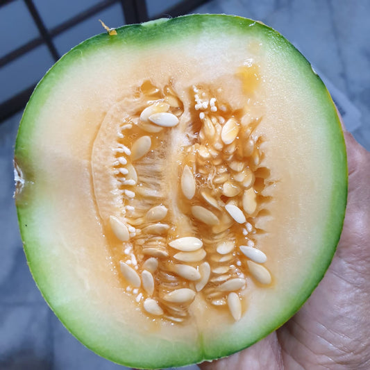 Cantaloupe Seeds