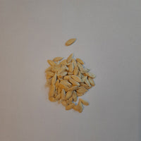 Muskmelon Seeds