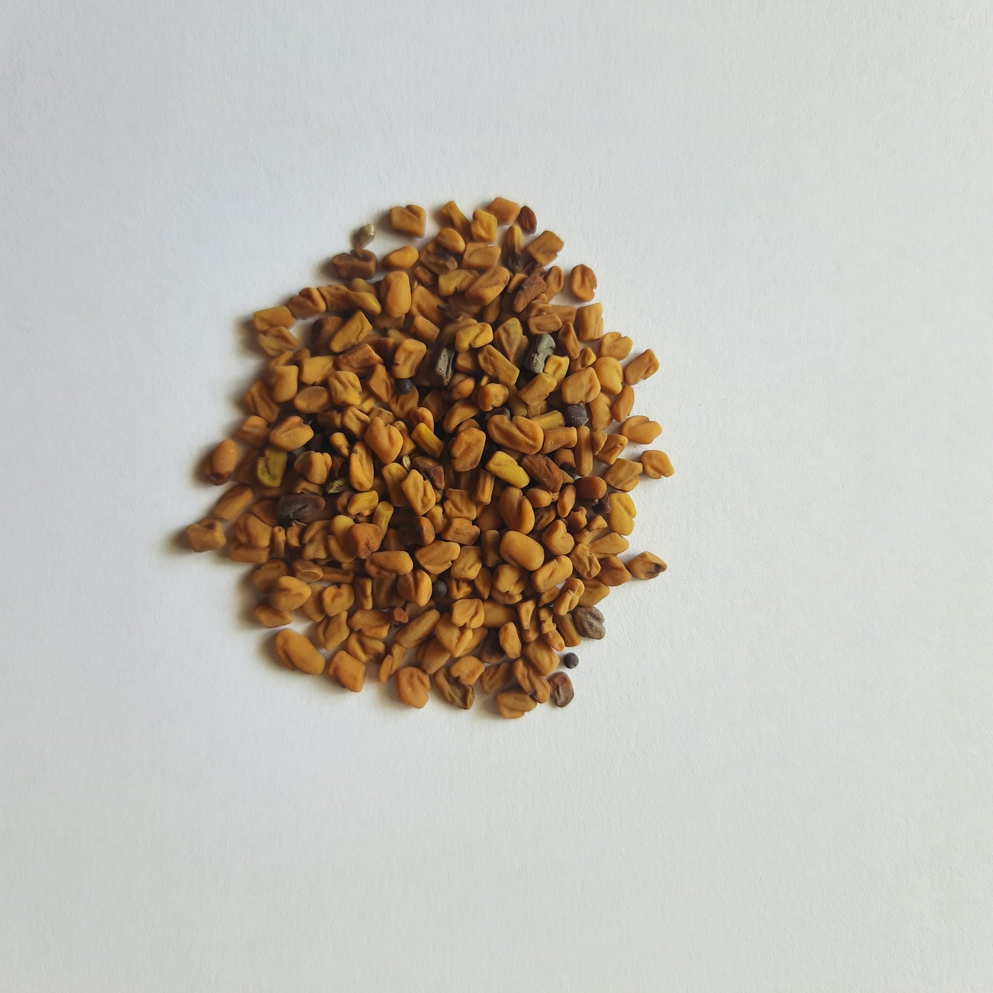 Fenugreek seeds