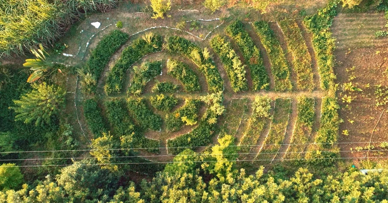 A Farm That Will Live Forever: Meet the Couple Teaching This Special Technique!