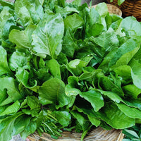 Spinach seeds