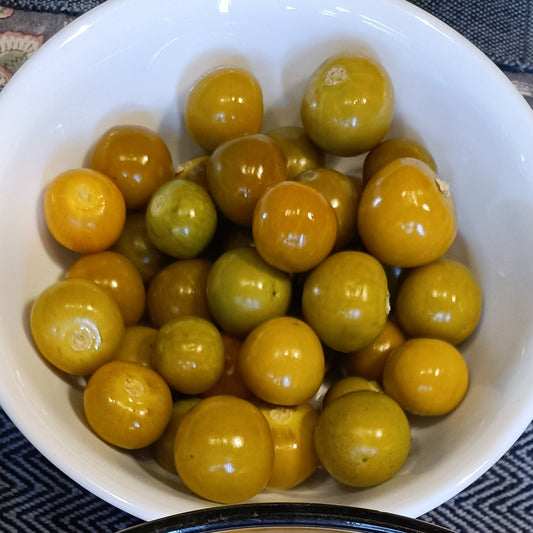 Cape Gooseberry | Rashbhari Seeds