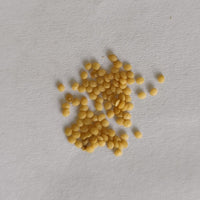 Cape Gooseberry | Rashbhari Seeds