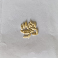 Snap Melon | Phunt Seeds