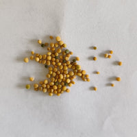 Mustard | Sarson Seeds (Yellow)