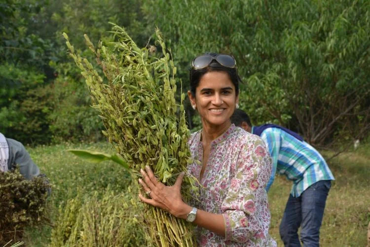 Female Farmer Believes In Permaculture Farming For India