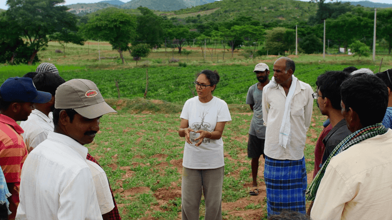 Can Permaculture Offer Hope in a Climate-insecure World?