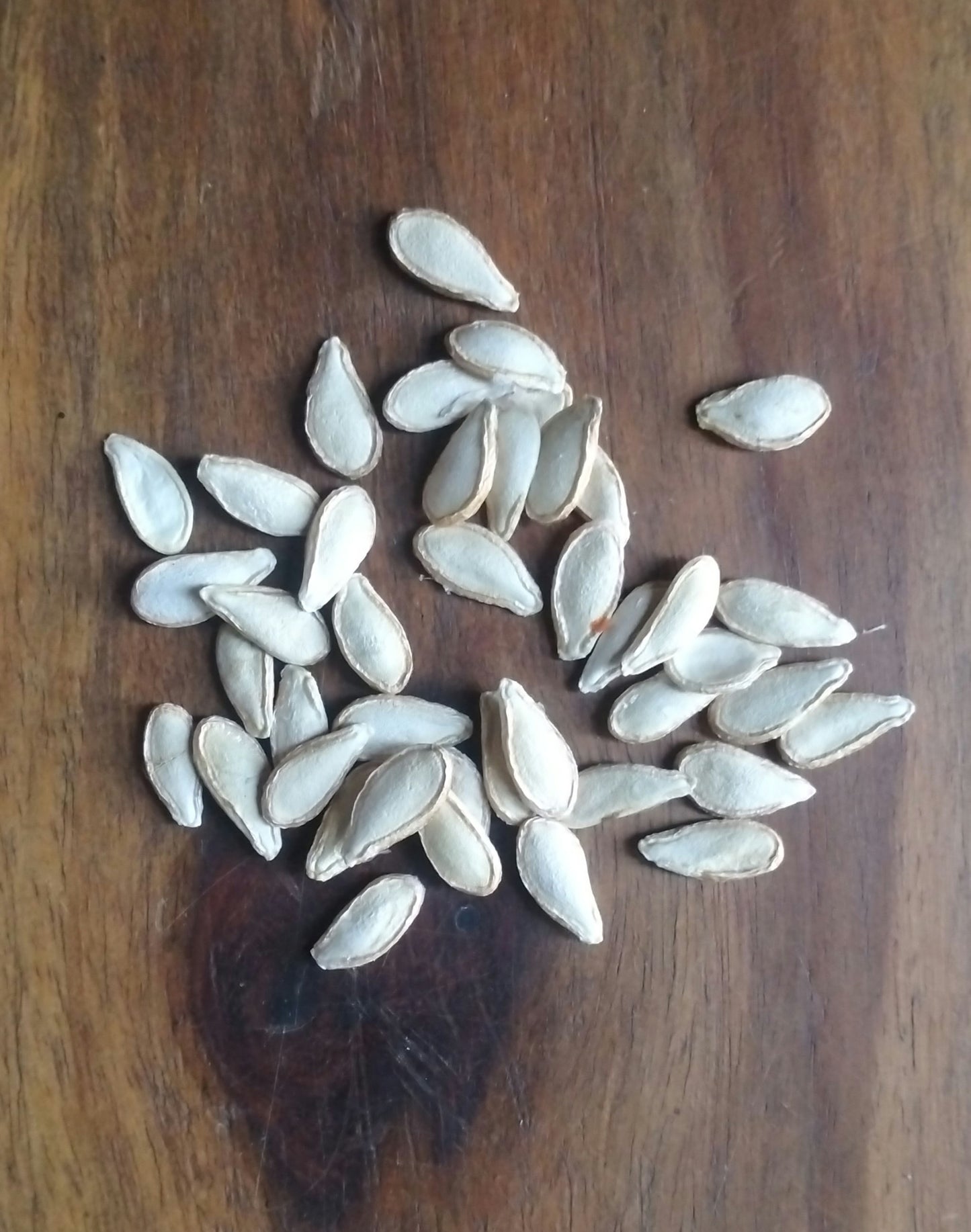 Pumpkin Seeds