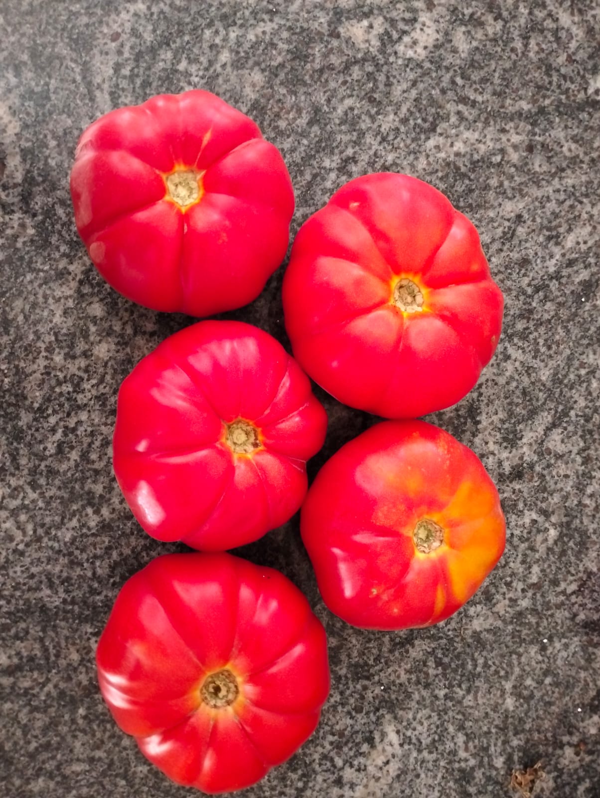 Tomato Seeds