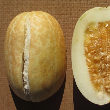 Snap Melon | Phunt Seeds
